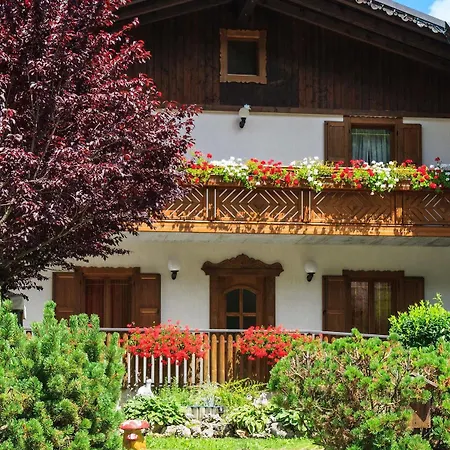 Edelweiss Hotel *
