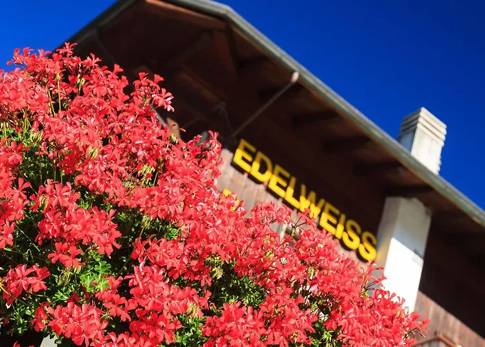 Edelweiss 酒店 *